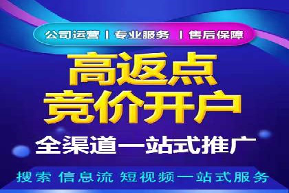 某企业通过百度广告实现品牌提升的历程